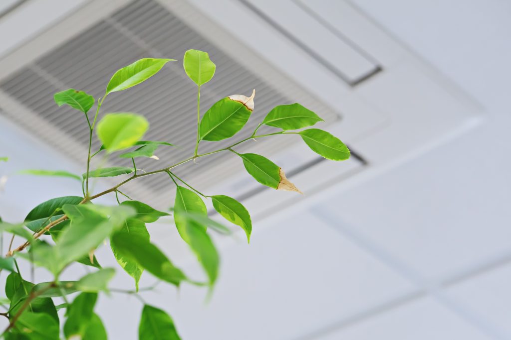 understanding-and-improving-indoor-air-quality-in-homes-carroll